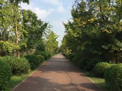 -白鹭湾湿地公园