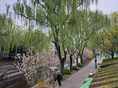 -元大都城垣遗址公园