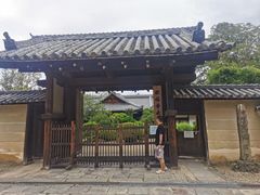 -奈良公园