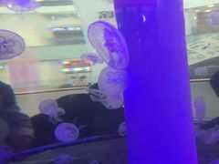 -唱吧麦颂KTV(东胜港悦广场店)