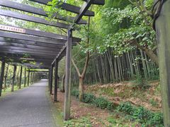 -九龙潭景区