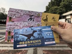 -自然谷恐龙园