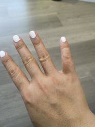 -BELLAREAL新美社