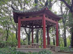 -上海市保健医疗中心