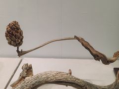 -江宁织造博物馆