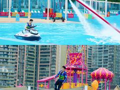 -海合安成都极地海洋公园