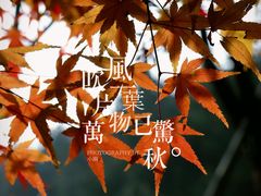 -黄公望隐居地