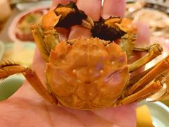 -焰江山海鲜牛排烤肉自助(锦华万达二星店)