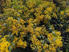 -樱桃山旅游景区