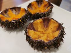 -海胆小馆(东北水饺·春柳店)