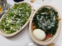 -油梨树AVOCADO TREE(望京店)