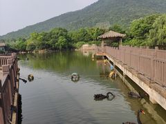 -无锡动物园·太湖欢乐园