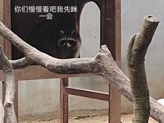 -深圳野生动物园