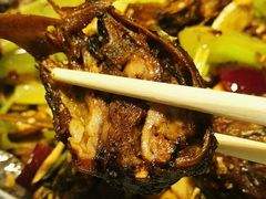 -蛙蛙叫干锅年代(簋街总店)