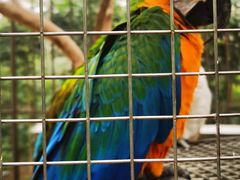 -南宫五洲植物乐园