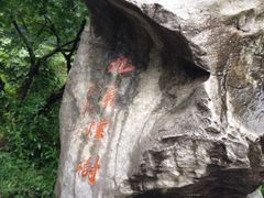 iphone_upload_pic-九溪烟树