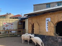 -HERRE·FARM 赫尔露营农场·团建聚会包场