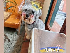 -查令84号咖啡馆(金大地1912东西街店)