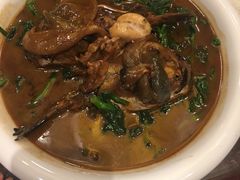 河豚鱼-莆鑫海鲜城(浏河店)