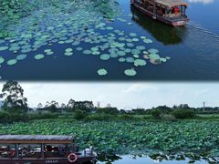 -江门古劳水乡旅游区
