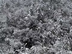 -湖州龙王山景区