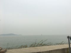 -东山矮马桶羊肉(太湖东山店)