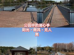 -上海山野camping·户外天幕烧烤·团建拓展营地