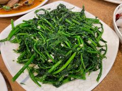 树菜-揭阳钟记小食(福田新村店)