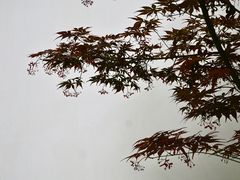 -成都杜甫草堂博物馆
