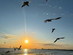 -老虎石海上公园