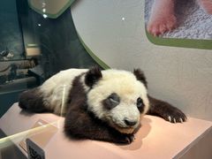 -深圳博物馆历史民俗馆