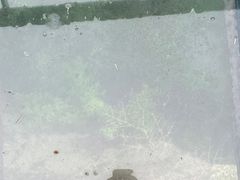 -峡谷浮石林景区