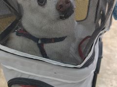 -美联众合动物医院·24h转诊中心