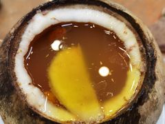 原只椰子炖飞天鸭-達揚原味燉品(文明路店)