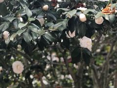 -阿育王寺