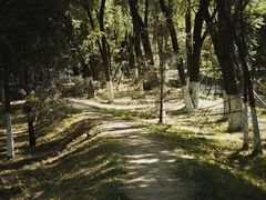 -长白岛森林公园