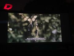 -枫花园汽车电影院(朝阳公园店)