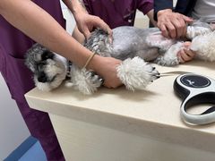 -全心全意动物诊疗中心医院(北苑店)