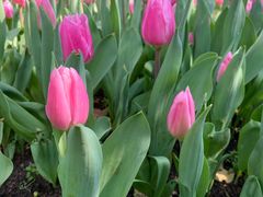 -上海四季花港-停车场