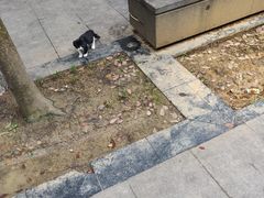 -GOOD好事咖啡(会展城店)
