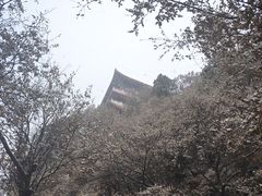 -终南山南五台景区