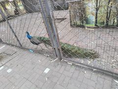 -长白岛森林公园