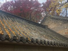 -青岛崂山太清宫