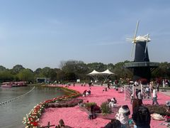 -上海鲜花港