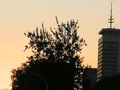 -长安面坊(西点茂店)