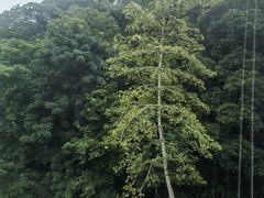 -广东温泉宾馆