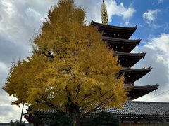 -浅草寺