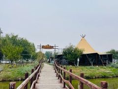 -西青郊野公园
