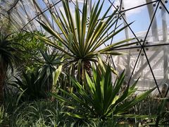 -北京植物园-展览温室