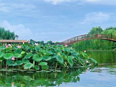 -白洋淀景区